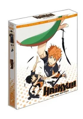 BD HAIKYU! LOS ASES DEL VOLEY TEMPORADA 1 COMPLETA