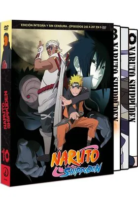 DVD NARUTO SHIPPUDEN BOX 10
