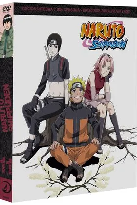 DVD NARUTO SHIPPUDEN BOX 11 DVD