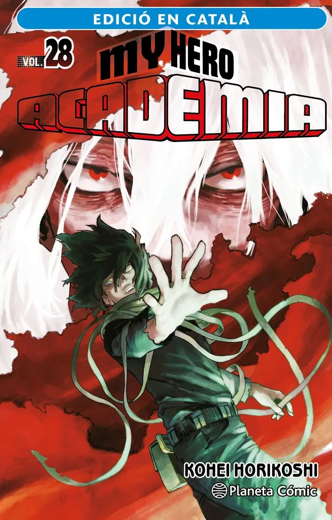 MY Hero Academia 28