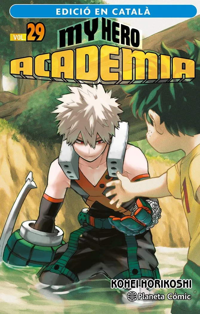 MY Hero Academia 29