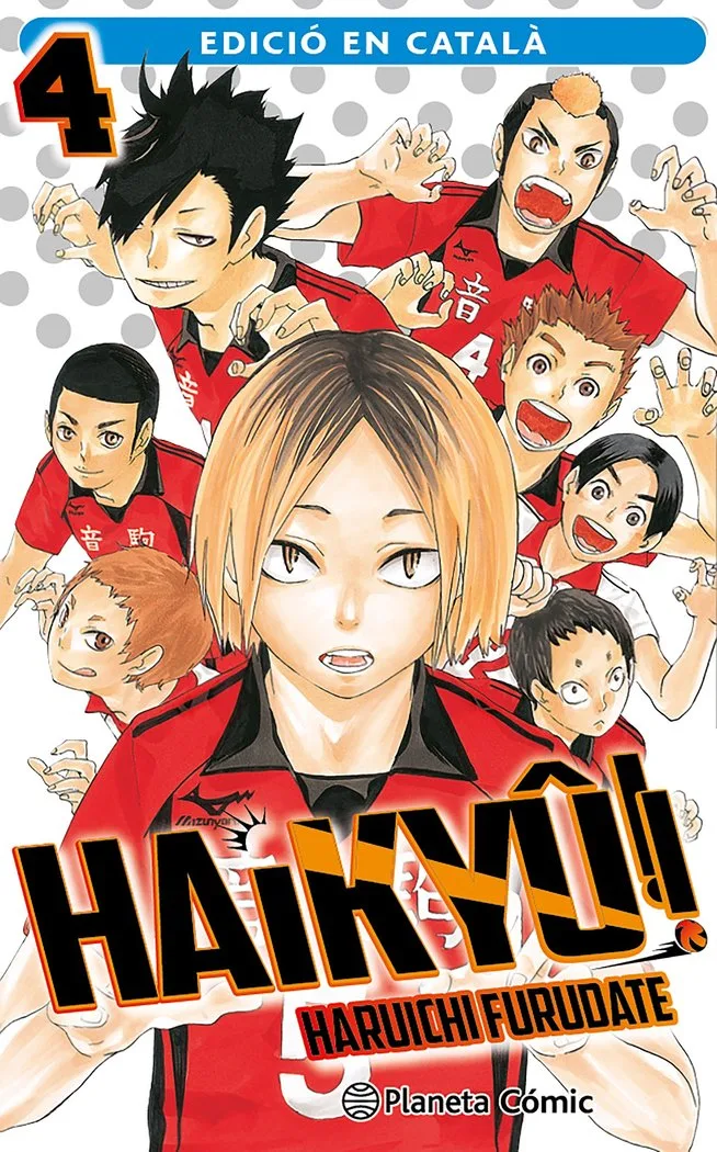 Haikyu 4/45