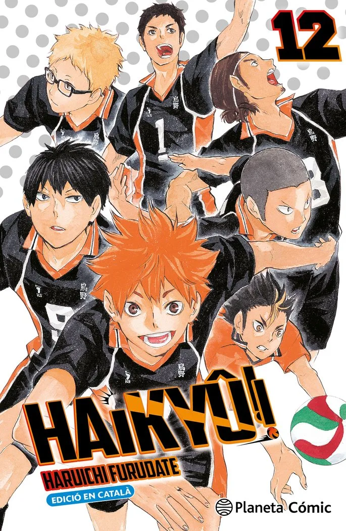 Haikyu 12