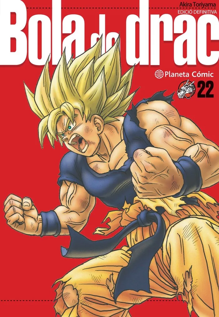 Bola de Drac Definitiva 22
