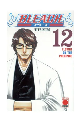 Bleach 12