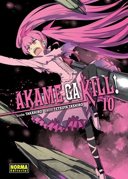 Akame Ga Kill 10