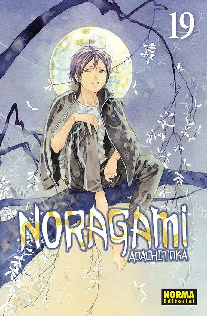 Noragami 19