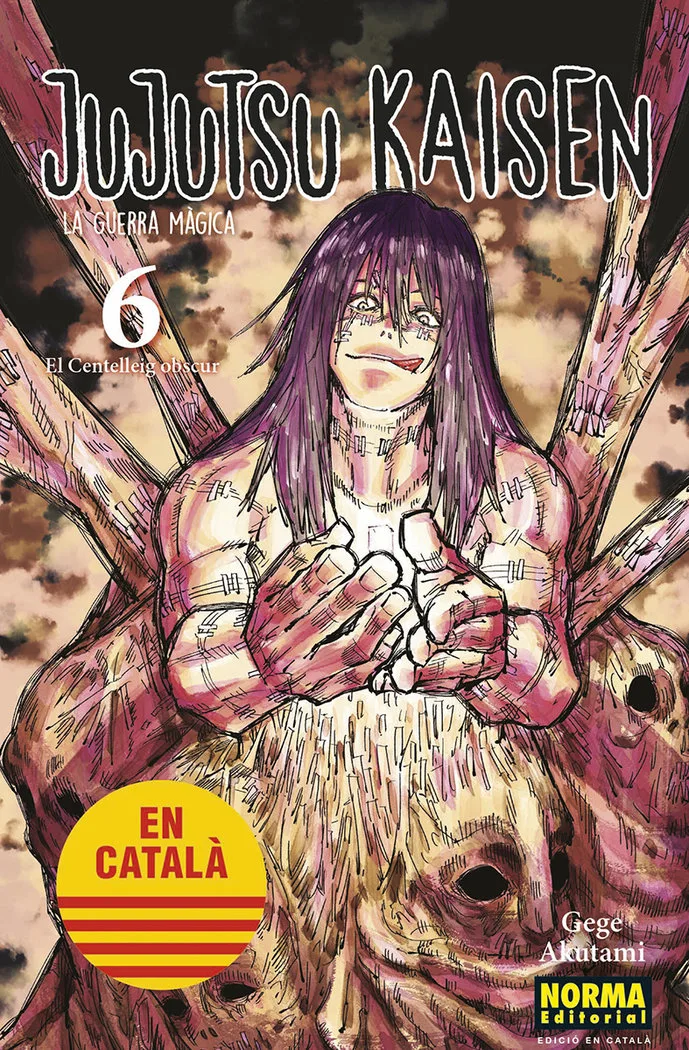 Jujutsu Kaisen 6