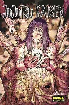 Jujutsu Kaisen 6 Ne
