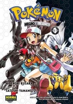 Pokemon 26 Negro y Blanco 1