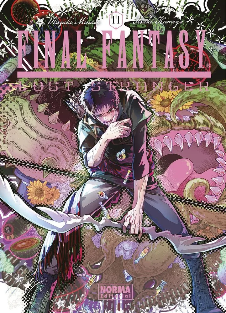 Final Fantasy Lost Stranger 11