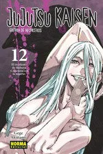 Jujutsu Kaisen 12 Ne