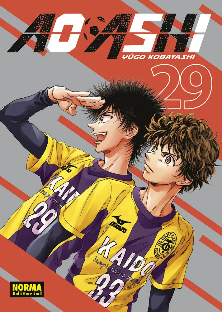 Ao Ashi 29