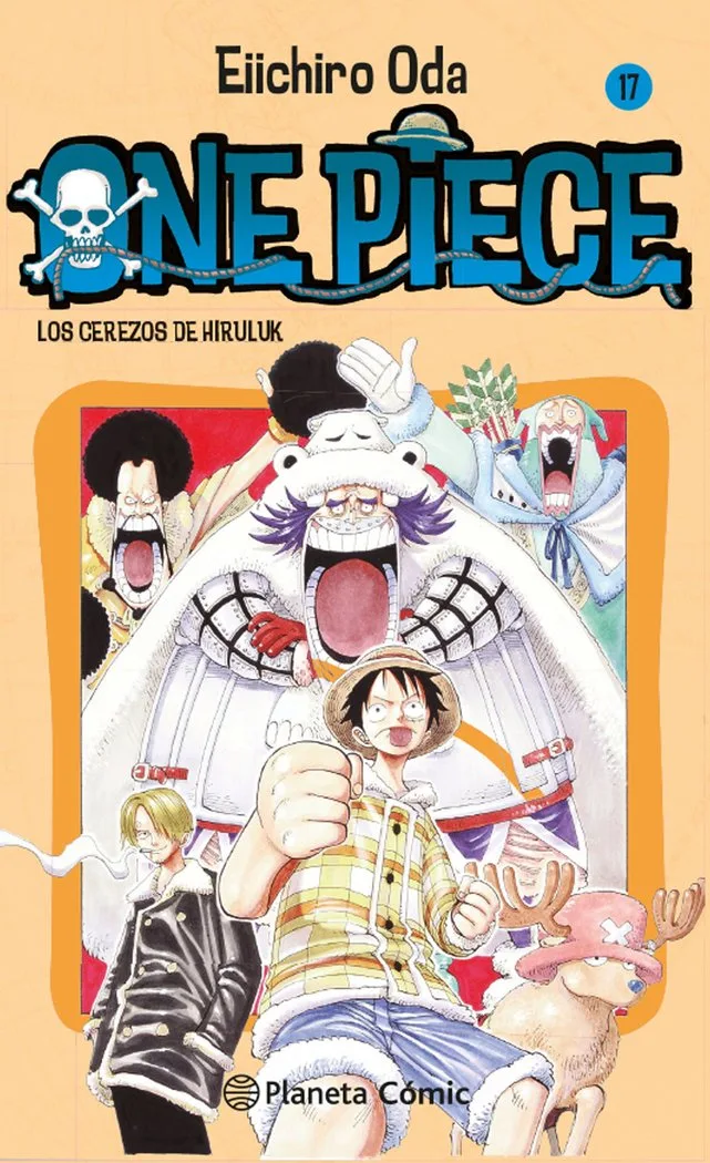 One Piece 17