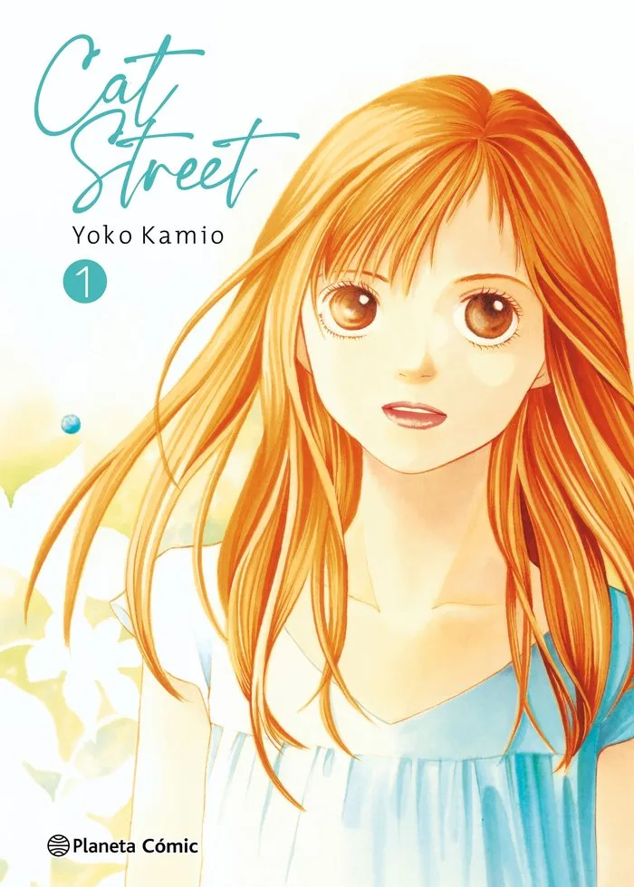 Cat Street 1 Ne