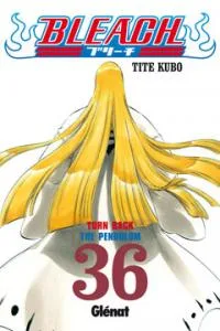 Bleach 36 (comic)