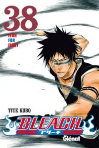 Bleach 38 (comic)