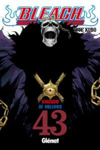 Bleach 43 (comic)