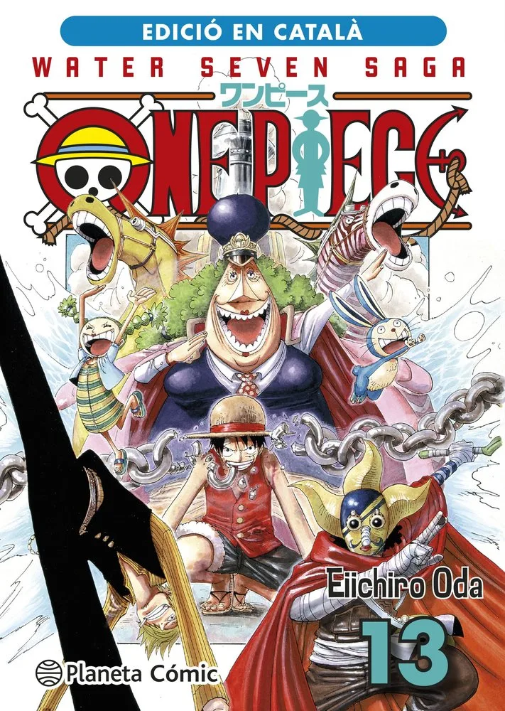 One Piece 13