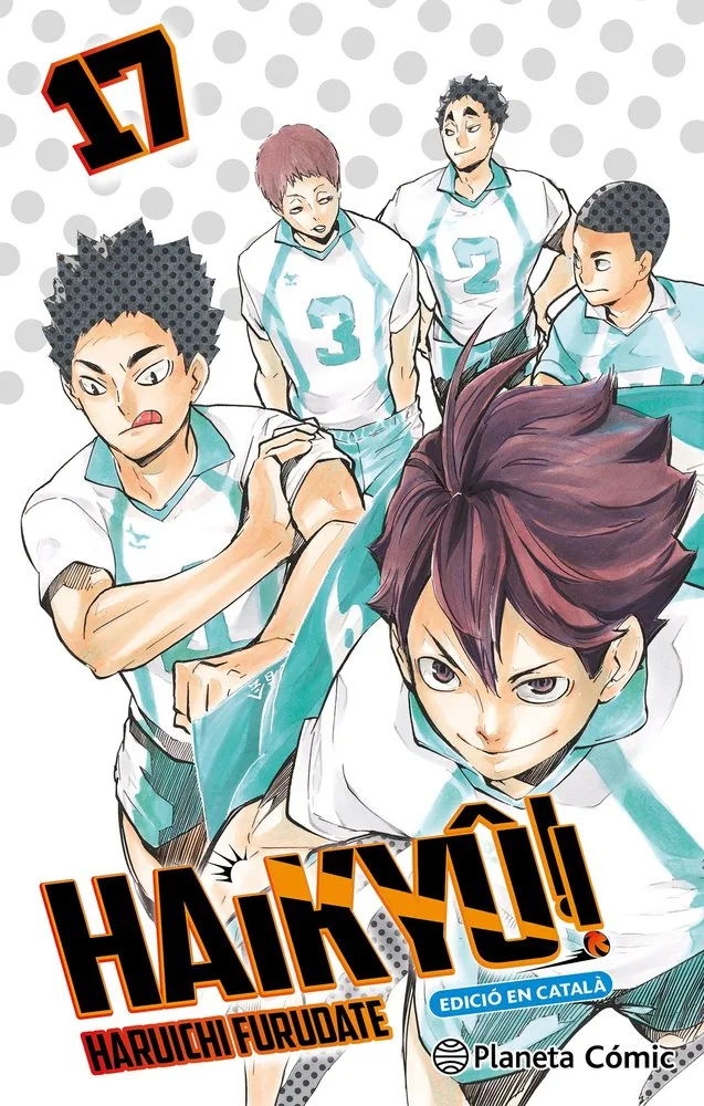 Haikyu 17 (cat)