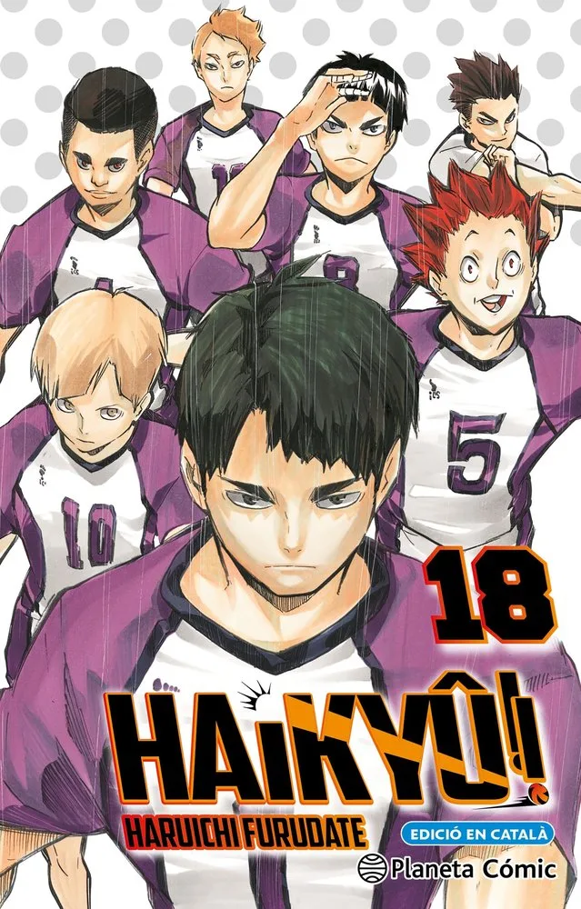 Haikyu 18 (cat)