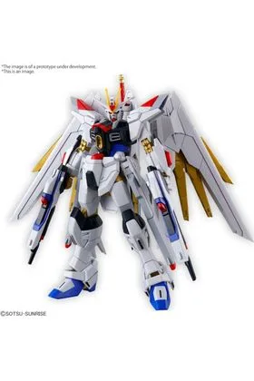 HG 1/144 MIGHTY STRIKE FREEDOM GUNDAM RE-RUN