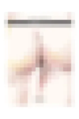 PORNOGRAFICA. 2ª EDICION AMPLIADA
