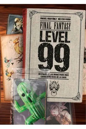 FINAL FANTASY: LEVEL 99
