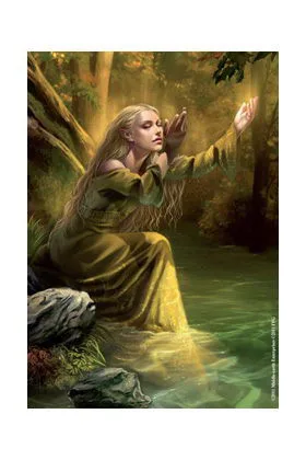 FUNDAS ILUSTRADAS - GOLDEN WOOD SINGER (50) - SDLA
