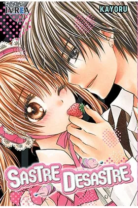SASTRE DESASTRE (TOMO UNICO)