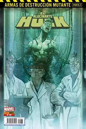 EL ALUCINANTE  HULK V.2 65