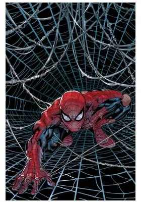 EL ASOMBROSO SPIDERMAN 19