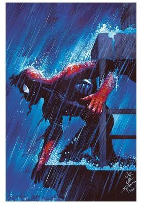 El Asombroso Spiderman 29