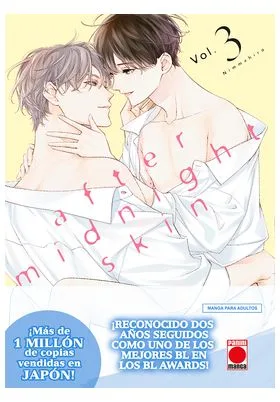 After Midnight Skin 03