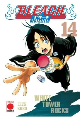 Bleach Bestseller 14