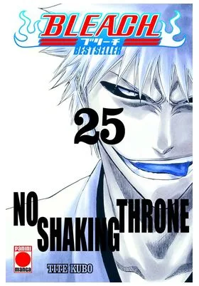 Bleach Bestseller 25