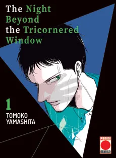 THE NIGHT BEYOND THE TRICORNERED WINDOW 01