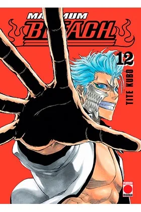 Bleach Maximum 12