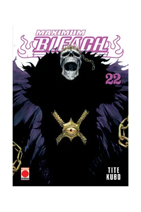 Bleach Maximum 22