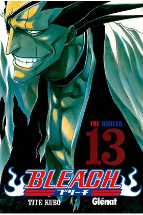 BLEACH 13 (COMIC)