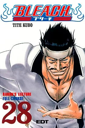 BLEACH 28 (COMIC)