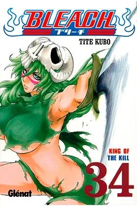 BLEACH 34 (COMIC)