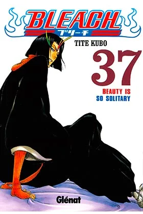 BLEACH 37 (COMIC)