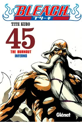 BLEACH 45 (COMIC)