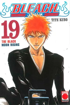BLEACH 19 (COMIC)