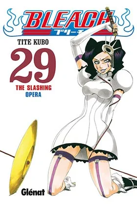 BLEACH 29 (COMIC)