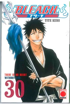 BLEACH 30 (COMIC)