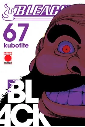 BLEACH 67 (COMIC)