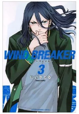 Wind Breaker 03