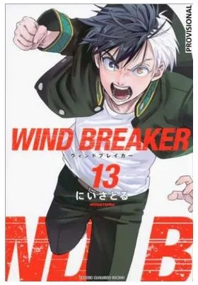 Wind Breaker 13